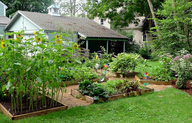 How To Organize Your Very Own Organic Garden