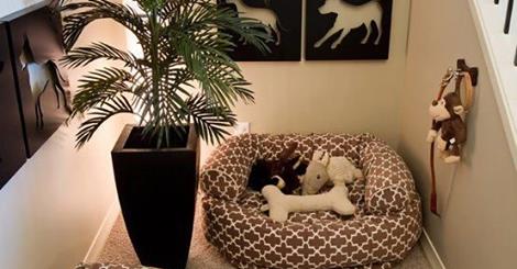 Making Your Home A Pet Haven
