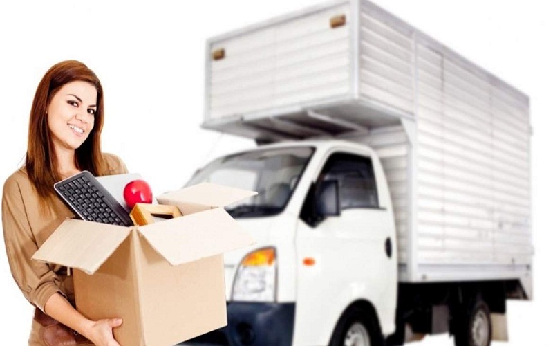 Professional Movers: Essential Features To Look For