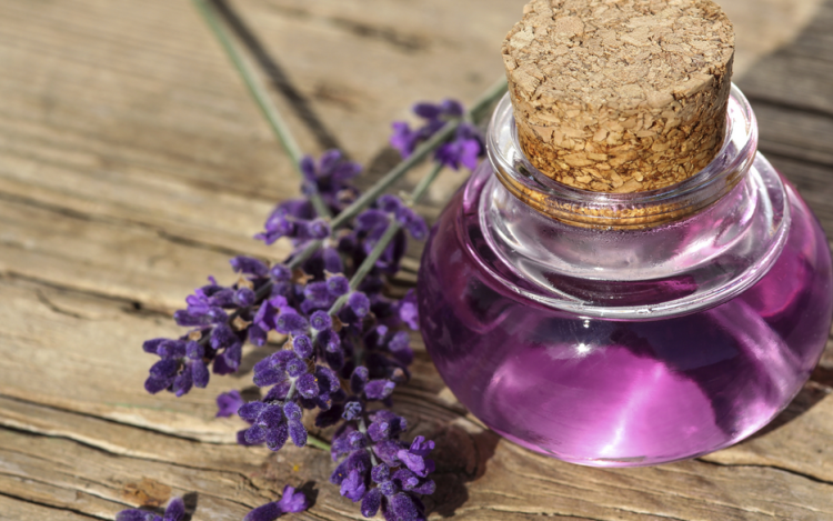 Lavender Essential Oil Diffuser Of Benefits