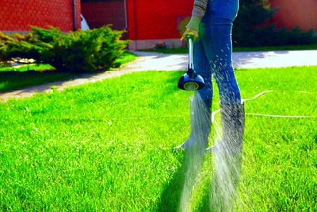 Few Things To Remember While Lawn Seeding