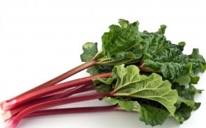 Surprising Health Benefits Of Rhubarb Herb