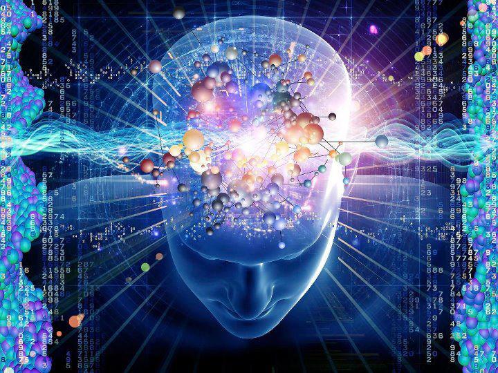 Why Everyone Is Using Modafinil Knowing How This Nootropic Works