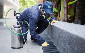 Choosing The Best Pest Control Services