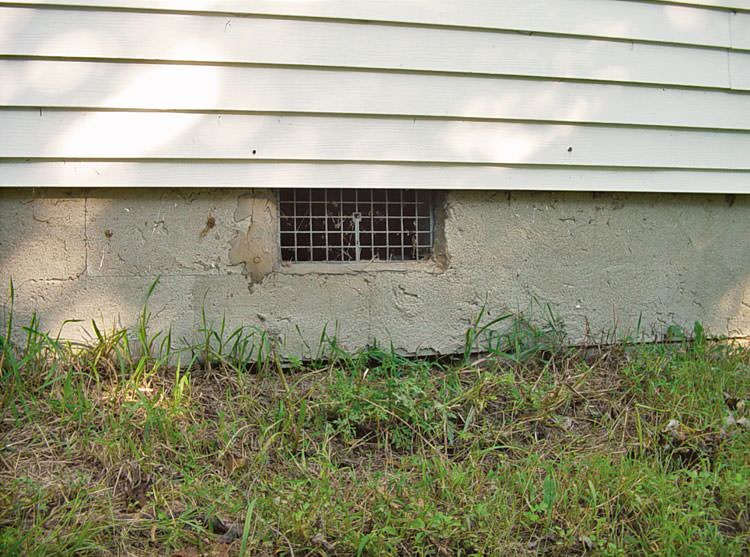 Excessive Moisture And Humidity Can Completely Damage Your Home: Know How?