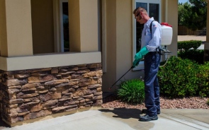 A Guide To Hiring The Best Pest Control Services